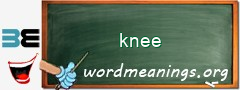 WordMeaning blackboard for knee